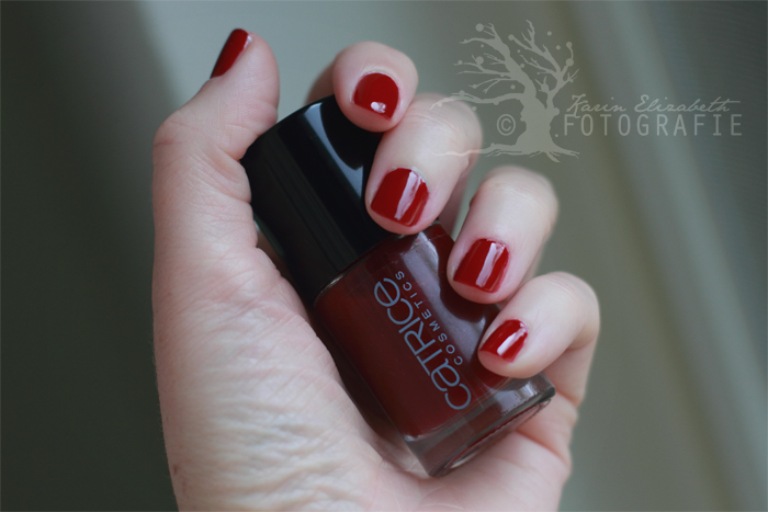 20120411_9484-700px_NOTD-better