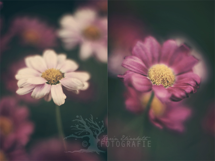 20120617_DIPTYCH-better