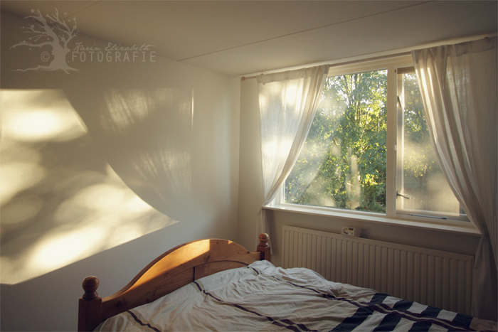 20121031-graceandchoice-light
